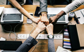 Эксперты рассказали, какого бизнеса не хватает в Новосибирске