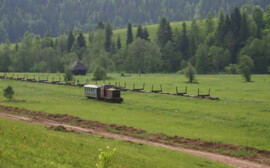 Власти Новосибирской области потратят более 500 млн на развитие села