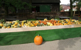 Власти Новосибирска отправят уличных торговцев работать в баню