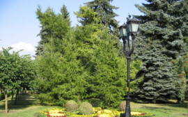 В Бердске центральный парк обустроят за 79 млн рублей