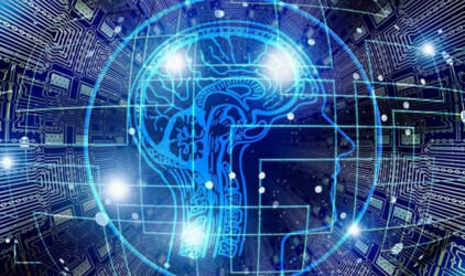 Билайн Бизнес запустил биржу каналов связи