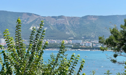 Трафик на сайте аэропорта Геленджика обнулили для новосибирцев