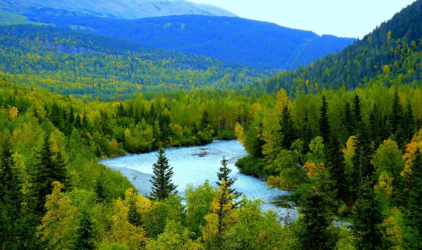 Как сохранить природу Сибири при организации массовых мероприятий