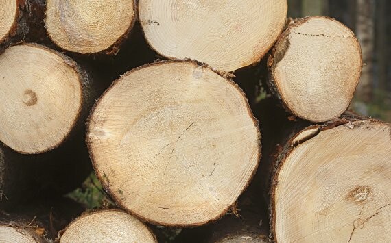 Шлифовальный станок по дереву