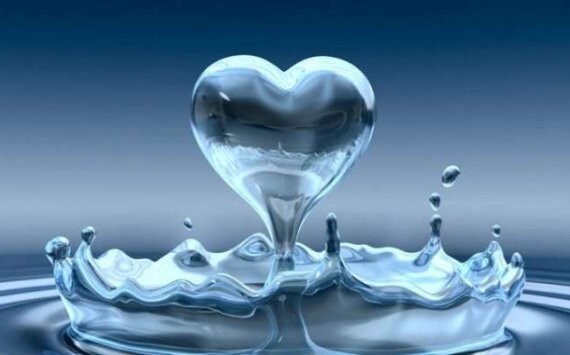 В Новосибирске за 250 млн рублей выставлено на продажу крупное предприятие