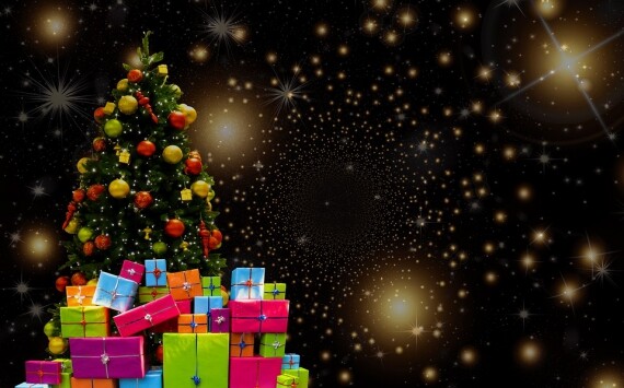 В Новосибирске на новогоднюю елку выделят 1,15 млн рублей