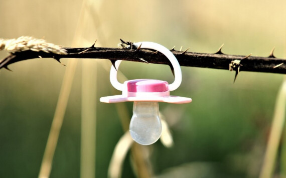 Новосибирская область получит на перинатальный центр 2,3 млрд рублей