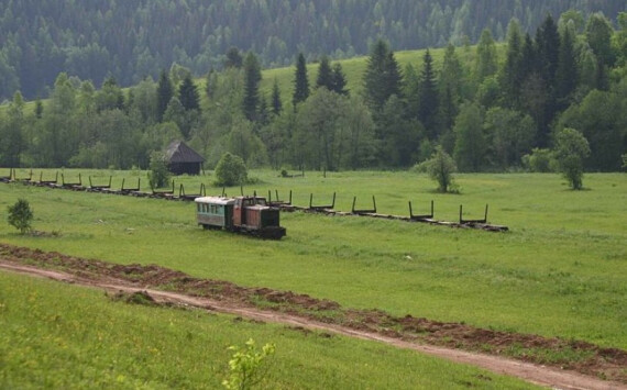 Власти Новосибирской области потратят более 500 млн на развитие села