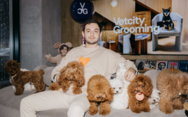 Кто в ответе за тех, кого приручили?