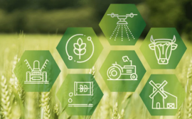 «Зеленая» продукция - инструмент развития устойчивого сельского хозяйства