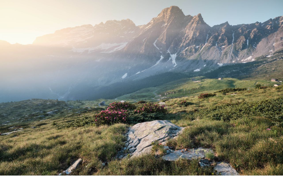 Новосибирцы могут оценить новое качество связи в любимых местах Алтая