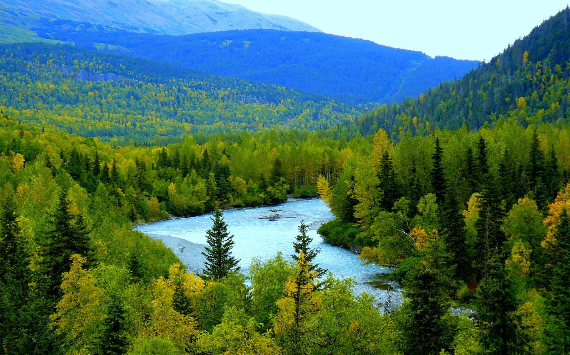 Как сохранить природу Сибири при организации массовых мероприятий