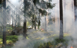 Жителям Новосибирска напомнили о пожароопасном сезоне