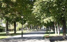 В Бердске самый большой парк благоустроят за 40 млн рублей
