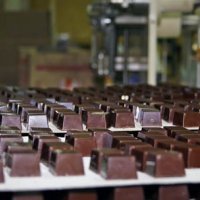 Кредиторы выставили на торги новосибирскую шоколадную фабрику «Елисеевский»