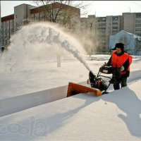 Мэрия и общественники Новосибирска объединят силы для уборки снега