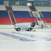 В Новосибирске создали рабочую группу по строительству ледовой арены