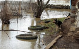 В Новосибирске уровень воды в Оби начал снижаться