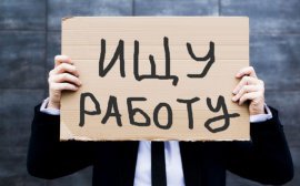 В Новосибирской области уровень безработицы с начала года вырос на 7,1%