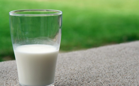 В Новосибирске новый молокозавод откроют за 120 млн рублей