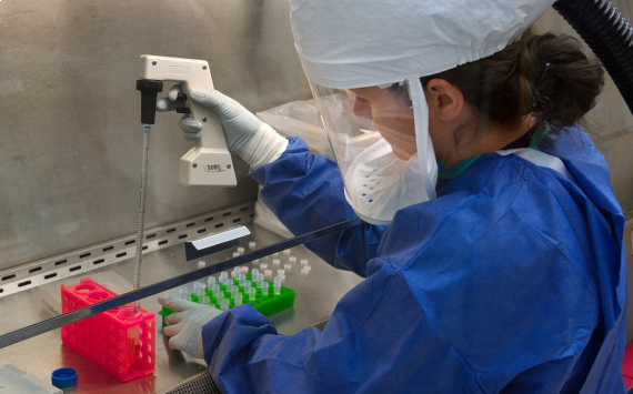 Дмитрий Медведев дал старт производству вакцины от Эболы для Африки
