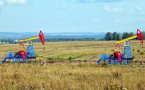 Экономист Делягин назвал плюсы для России от введения потолка цен на нефть