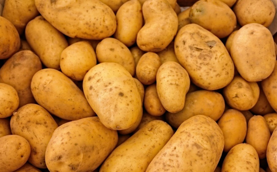 Аграрии Новосибирской области объяснили рост цен на картофель на 33%