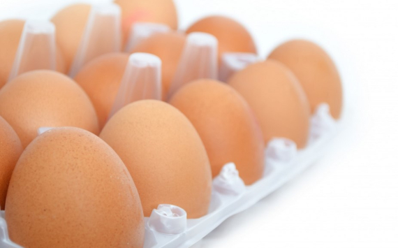 В Новосибирске действия властей не остановили рост цен на яйца