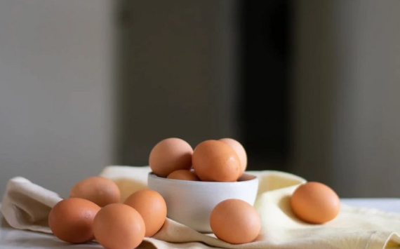Травников рассказал о снижении цен на яйца в Новосибирской области