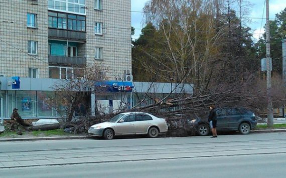 В Новосибирске продолжают ликвидировать последствия ночного урагана