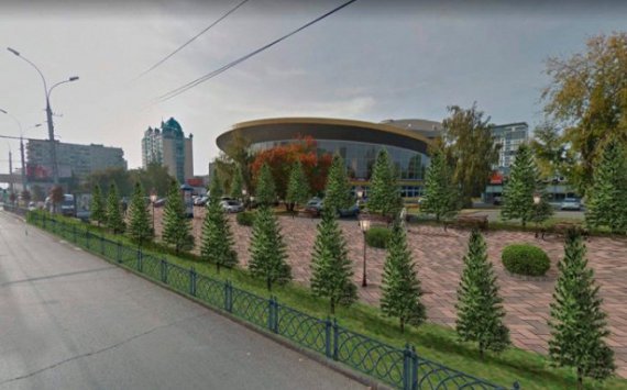 В Новосибирске создадут единый центр по благоустройству и озеленению