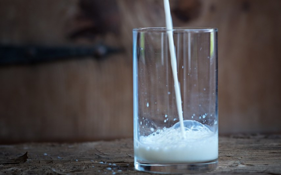 В Новосибирской области достигнут рекордный рост производства молока