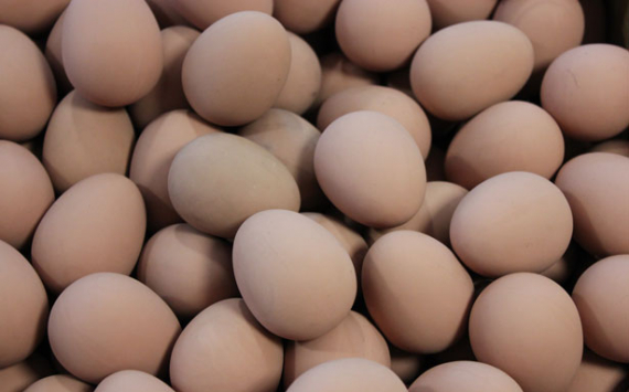 В Новосибирской области за год произвели 1,1 млрд яиц