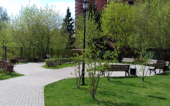 В Новосибирске на месте стройки напротив цирка появится сквер