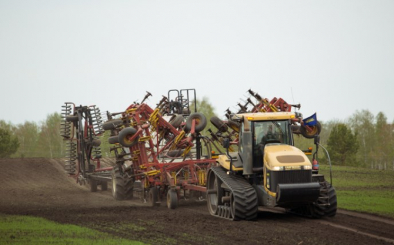 В Новосибирской области посевная кампания выполнена на 80%