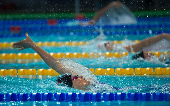 В Пашино в 2020 году введут в эксплуатацию бассейн «Дельфин»