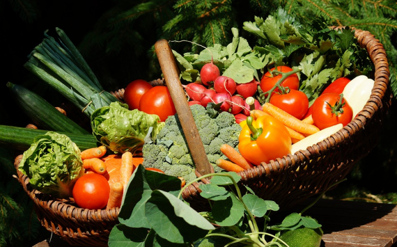 Новый тепличный комплекс открыли в Новосибирской области