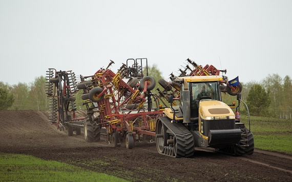 В Новосибирской области новые направления АПК получат господдержку