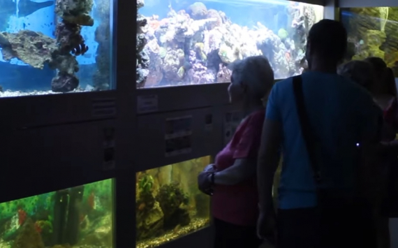 &#x0417;&#x0430;&#x043A;&#x0440;&#x044B;&#x0442;&#x044B;&#x0439;&#x20;&#x0438;&#x0437;-&#x0437;&#x0430;&#x20;COVID-19&#x20;&#x0437;&#x043E;&#x043E;&#x043F;&#x0430;&#x0440;&#x043A;&#x20;&#x041D;&#x043E;&#x0432;&#x043E;&#x0441;&#x0438;&#x0431;&#x0438;&#x0440;&#x0441;&#x043A;&#x0430;&#x20;&#x043F;&#x043E;&#x043B;&#x0443;&#x0447;&#x0438;&#x0442;&#x20;27,5&#x20;&#x043C;&#x043B;&#x043D;&#x20;&#x0440;&#x0443;&#x0431;&#x043B;&#x0435;&#x0439;