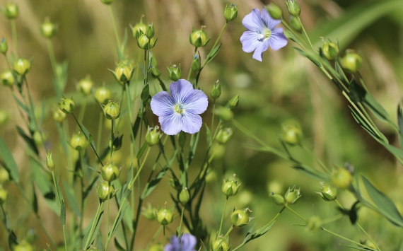 &#x0412;&#x043B;&#x0430;&#x0434;&#x0438;&#x043C;&#x0438;&#x0440;&#x20;&#x041F;&#x0443;&#x0442;&#x0438;&#x043D;&#x20;&#x043F;&#x0435;&#x0440;&#x0435;&#x0447;&#x0438;&#x0441;&#x043B;&#x0438;&#x043B;&#x20;&#x043C;&#x0435;&#x0440;&#x044B;&#x20;&#x0444;&#x0438;&#x043D;&#x0430;&#x043D;&#x0441;&#x043E;&#x0432;&#x043E;&#x0439;&#x20;&#x043F;&#x043E;&#x0434;&#x0434;&#x0435;&#x0440;&#x0436;&#x043A;&#x0438;&#x20;&#x043B;&#x0451;&#x0433;&#x043A;&#x043E;&#x0439;&#x20;&#x043F;&#x0440;&#x043E;&#x043C;&#x044B;&#x0448;&#x043B;&#x0435;&#x043D;&#x043D;&#x043E;&#x0441;&#x0442;&#x0438;