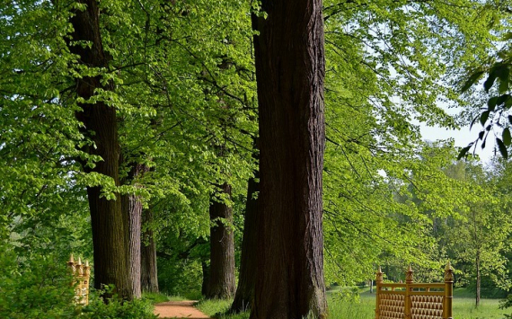 В Новосибирске рядом с ЛДС построят парк за 433,5 млн рублей