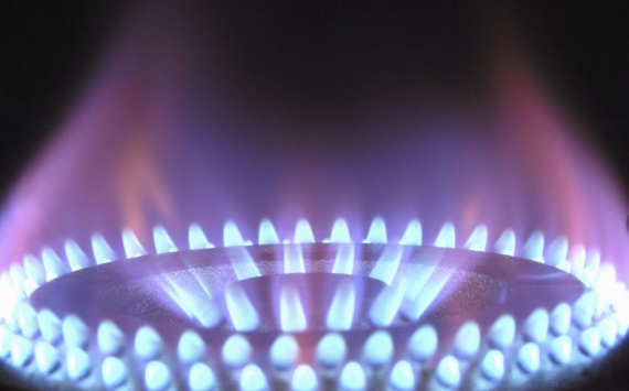 &#x041D;&#x043E;&#x0432;&#x0430;&#x043A;&#x20;&#x043E;&#x0446;&#x0435;&#x043D;&#x0438;&#x043B;&#x20;&#x0437;&#x0430;&#x0442;&#x0440;&#x0430;&#x0442;&#x044B;&#x20;&#x043D;&#x0430;&#x20;&#x0433;&#x0430;&#x0437;&#x0438;&#x0444;&#x0438;&#x043A;&#x0430;&#x0446;&#x0438;&#x044E;&#x20;&#x0432;&#x20;&#x0420;&#x043E;&#x0441;&#x0441;&#x0438;&#x0438;