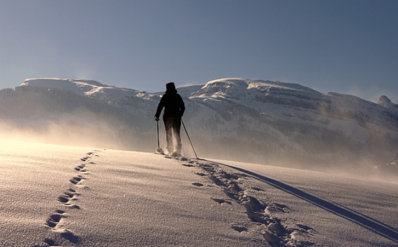 &#x0412;&#x20;&#x0420;&#x043E;&#x0441;&#x0441;&#x0438;&#x0438;&#x20;&#x0441;&#x043F;&#x0440;&#x043E;&#x0441;&#x20;&#x043D;&#x0430;&#x20;&#x0441;&#x043F;&#x043E;&#x0440;&#x0442;&#x0438;&#x0432;&#x043D;&#x0443;&#x044E;&#x20;&#x043E;&#x0434;&#x0435;&#x0436;&#x0434;&#x0443;&#x20;&#x0438;&#x20;&#x043E;&#x0431;&#x0443;&#x0432;&#x044C;&#x20;&#x0432;&#x044B;&#x0440;&#x043E;&#x0441;&#x20;&#x043F;&#x043E;&#x0447;&#x0442;&#x0438;&#x20;&#x0432;&#x20;5&#x20;&#x0440;&#x0430;&#x0437;