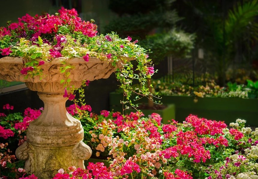 В Новосибирске появится первый в РФ "парк на болоте"