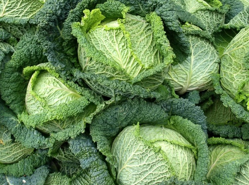 В Новосибирске капуста за месяц дорожала на 41%