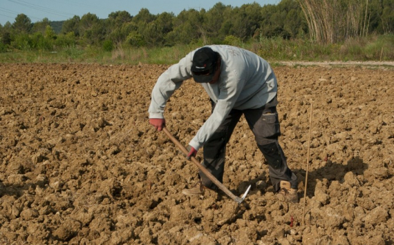 &#x0412;&#x20;&#x0420;&#x043E;&#x0441;&#x0441;&#x0438;&#x0438;&#x20;&#x0444;&#x0435;&#x0440;&#x043C;&#x0435;&#x0440;&#x044B;&#x20;&#x0438;&#x0437;-&#x0437;&#x0430;&#x20;&#x0434;&#x0435;&#x0448;&#x0435;&#x0432;&#x043E;&#x0433;&#x043E;&#x20;&#x0433;&#x0430;&#x0437;&#x0430;&#x20;&#x043F;&#x043E;&#x043B;&#x0443;&#x0447;&#x0438;&#x043B;&#x0438;&#x20;&#x043F;&#x0440;&#x0435;&#x0438;&#x043C;&#x0443;&#x0449;&#x0435;&#x0441;&#x0442;&#x0432;&#x043E;&#x20;&#x043F;&#x0435;&#x0440;&#x0435;&#x0434;&#x20;&#x043A;&#x043E;&#x043D;&#x043A;&#x0443;&#x0440;&#x0435;&#x043D;&#x0442;&#x0430;&#x043C;&#x0438;