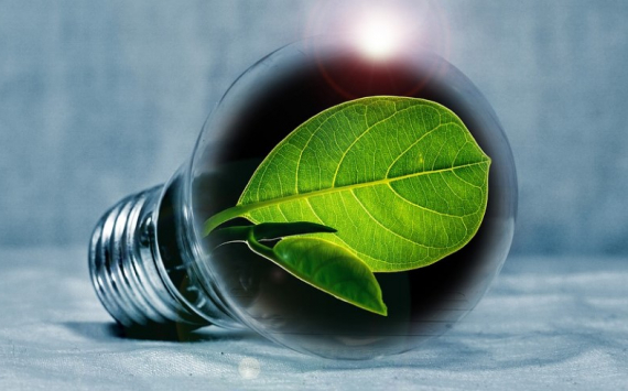 &#x042D;&#x043D;&#x0435;&#x0440;&#x0433;&#x0435;&#x0442;&#x0438;&#x043A;&#x0438;&#x20;&#x043C;&#x043E;&#x0433;&#x0443;&#x0442;&#x20;&#x043F;&#x043E;&#x043B;&#x0443;&#x0447;&#x0438;&#x0442;&#x044C;&#x20;&#x043B;&#x044C;&#x0433;&#x043E;&#x0442;&#x043D;&#x044B;&#x0435;&#x20;&#x043A;&#x0440;&#x0435;&#x0434;&#x0438;&#x0442;&#x044B;&#x20;&#x043D;&#x0430;&#x20;&#x00AB;&#x0437;&#x0435;&#x043B;&#x0451;&#x043D;&#x0443;&#x044E;&#x00BB;&#x20;&#x043C;&#x043E;&#x0434;&#x0435;&#x0440;&#x043D;&#x0438;&#x0437;&#x0430;&#x0446;&#x0438;&#x044E;