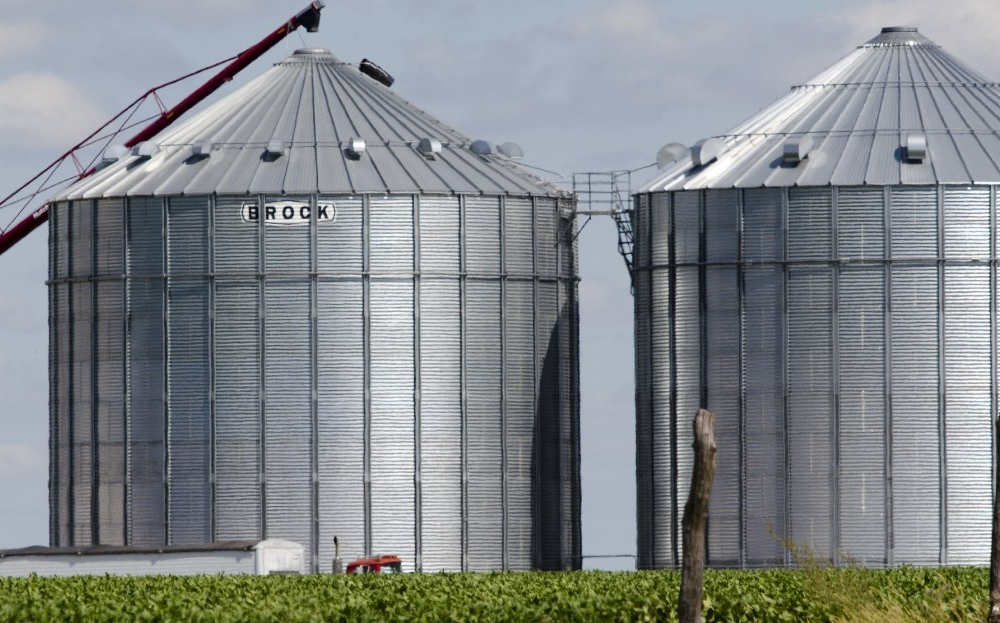 В Новосибирской области за 5 млрд рублей построят крупный элеваторный комплекс