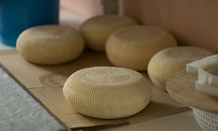 Травников рассказал о заморозке строительства крупного сырзавода под Новосибирском