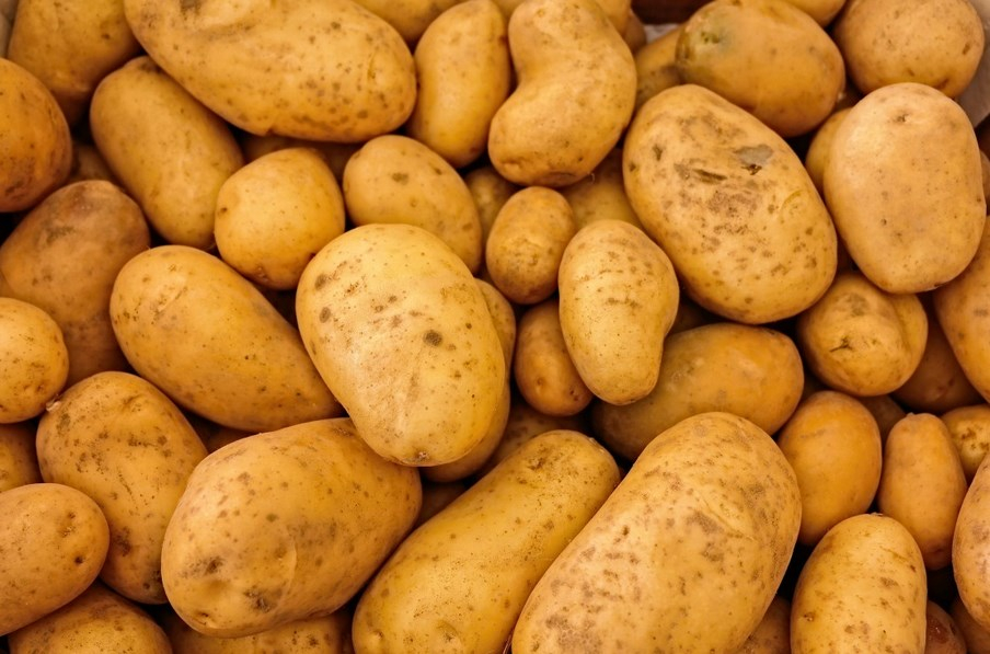 &#x0410;&#x0433;&#x0440;&#x0430;&#x0440;&#x0438;&#x0438;&#x20;&#x041D;&#x043E;&#x0432;&#x043E;&#x0441;&#x0438;&#x0431;&#x0438;&#x0440;&#x0441;&#x043A;&#x043E;&#x0439;&#x20;&#x043E;&#x0431;&#x043B;&#x0430;&#x0441;&#x0442;&#x0438;&#x20;&#x043E;&#x0431;&#x044A;&#x044F;&#x0441;&#x043D;&#x0438;&#x043B;&#x0438;&#x20;&#x0440;&#x043E;&#x0441;&#x0442;&#x20;&#x0446;&#x0435;&#x043D;&#x20;&#x043D;&#x0430;&#x20;&#x043A;&#x0430;&#x0440;&#x0442;&#x043E;&#x0444;&#x0435;&#x043B;&#x044C;&#x20;&#x043D;&#x0430;&#x20;33&#x25;